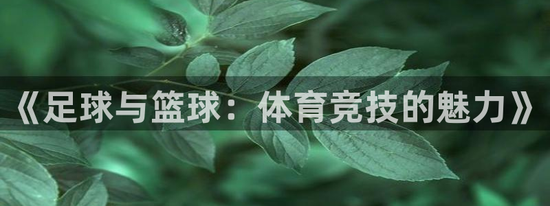 《足球与篮球：体育竞技的魅力》