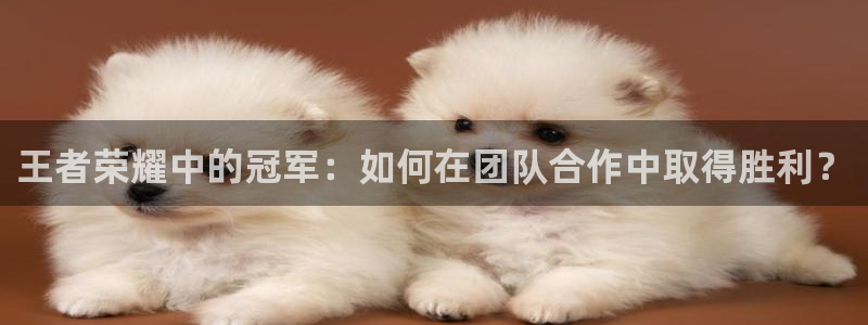 王者荣耀中的冠军：如何在团队合作中取得胜利？