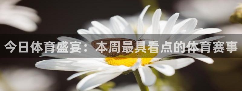 今日体育盛宴：本周最具看点的体育赛事