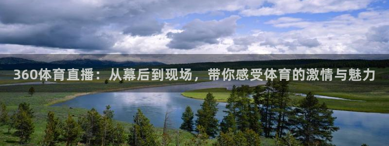 360体育直播：从幕后到现场，带你感受体育的激情与魅力