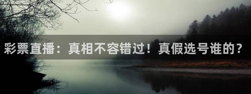 彩票直播：真相不容错过！真假选号谁的？