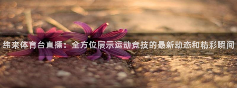 纬来体育台直播：全方位展示运动竞技的最新动态和精彩瞬间