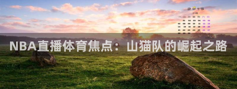 NBA直播体育焦点：山猫队的崛起之路