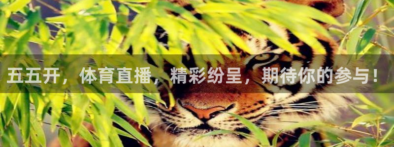 五五开，体育直播，精彩纷呈，期待你的参与！