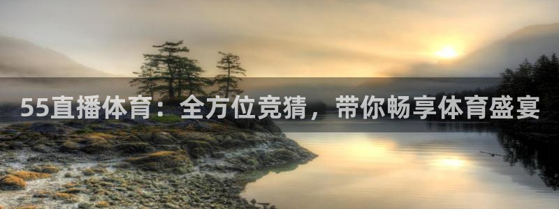 55直播体育：全方位竞猜，带你畅享体育盛宴