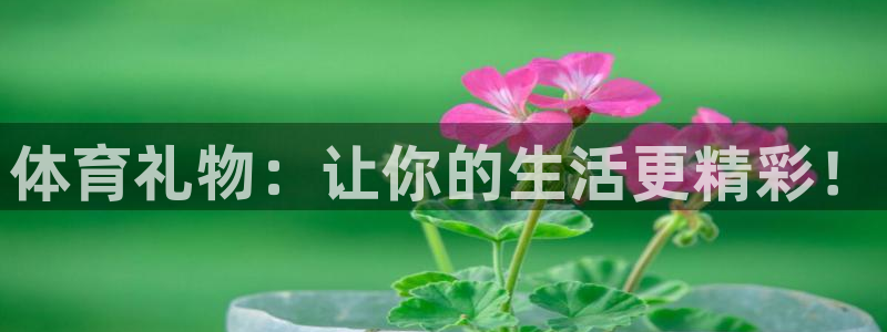 体育礼物：让你的生活更精彩！
