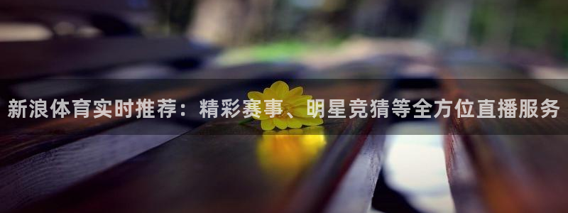 新浪体育实时推荐：精彩赛事、明星竞猜等全方位直播服务