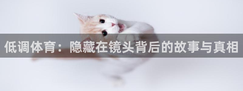 低调体育：隐藏在镜头背后的故事与真相