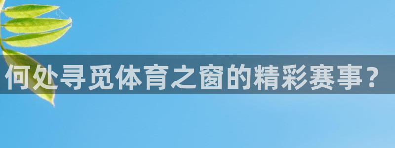 何处寻觅体育之窗的精彩赛事？