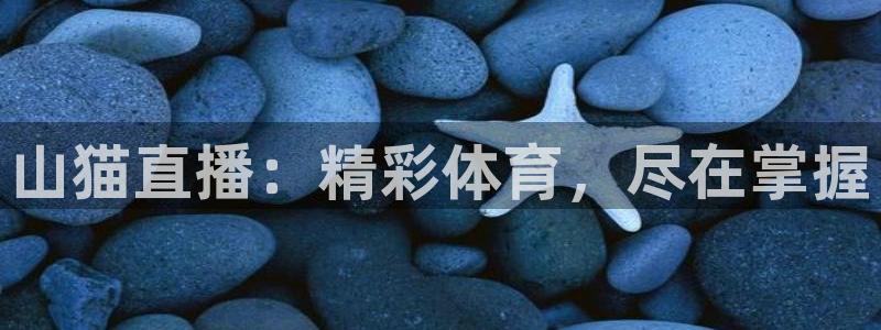 山猫直播：精彩体育，尽在掌握