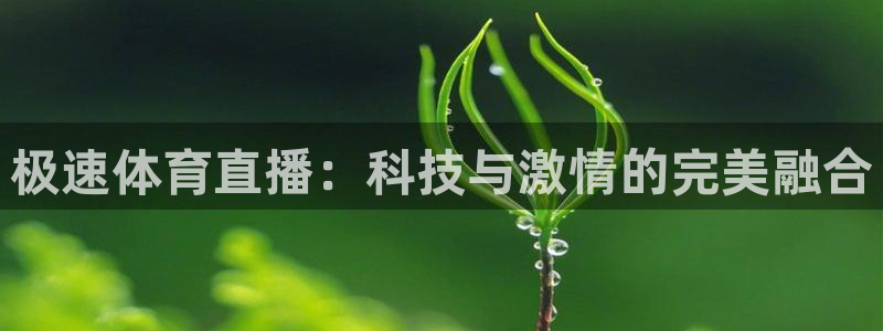 极速体育直播：科技与激情的完美融合