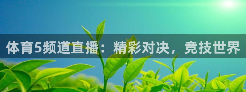 体育5频道直播：精彩对决，竞技世界